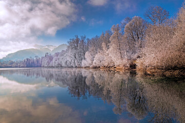 Ortwanger Baggersee - Allg&auml;u - Eis - Raureif - B&auml;ume - Ruhe