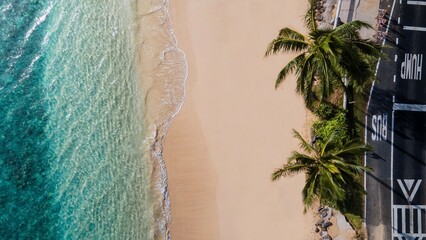 Aerial view of tropical beach with palm trees and clear ocean water