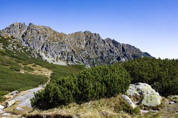 High mountain basin with rocky slopes and alpine vegetation in Tatras