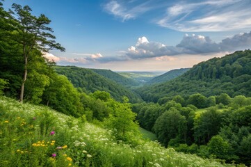Fototapeta premium View of a Green Valley With Trees and Flowers Under a Cloudy Sky at Sunset