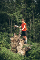 Young boy in a red shirt climbs a large fallen tree trunk in a lush forest. The child appears focused and curious, engaging with nature during an outdoor adventure.