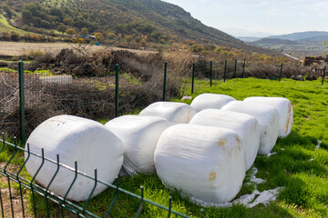 50 kg bags of corn silage, animal feed