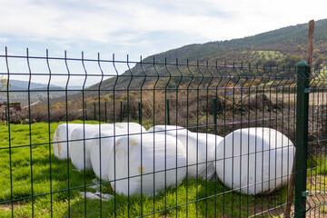 50 kg bags of corn silage, animal feed