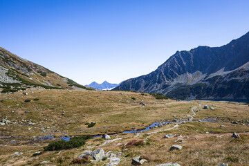 Wide alpine valley landscape in Five Polish Ponds Valley with mountain slopes, meadow and clear sky