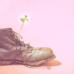photo depicting old, tattered shoe from which looks small greenery sprout, close-up,  on a light background, can be used as a poster or banner.