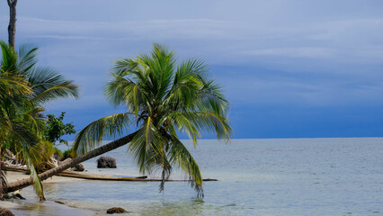 Magnificent Tropical Scenery of Cahuita National Park on the Caribbean Coast of Costa Rica