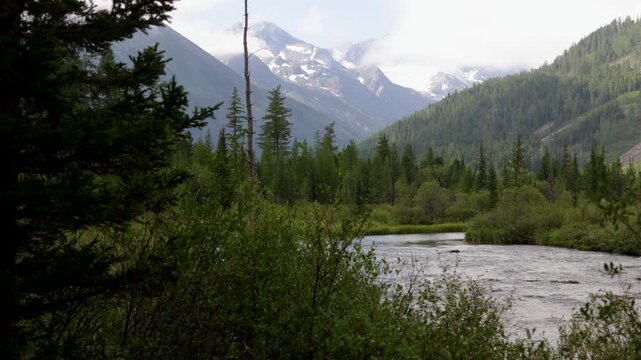 Picturesque mountain valley with forest and snow-capped mountains in the background