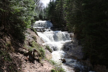 waterfall in the forest