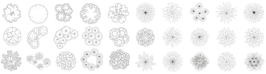 Obraz premium Vector Architectural Top View Tree and Shrub CAD Block Set in Black Outline Style