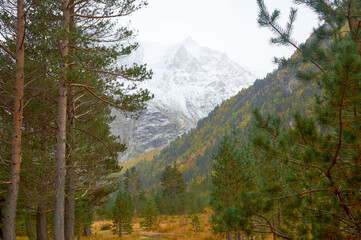 Autumn forest frames a view of snowy mountain peaks where golden foliage contrasts with white summits.