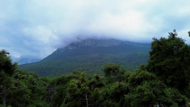 a dense forest and a cloud-covered mountain rising from the middle of the forest towards the sky.
