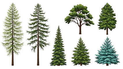 Fototapeta premium Collection of various evergreen trees in different shapes and sizes with vibrant green foliage in digital illustration style on white background for landscape design