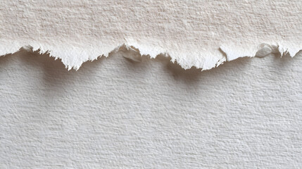 Torn Paper Texture: A close-up view of a piece of torn paper, revealing its raw edges and textured surface. The simplicity conveys a sense of fragility and imperfection.