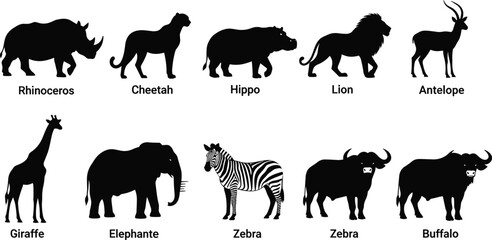 african, animal, silhouettes, wildlife, safari, mammals, set, collection, black, white, vector, illustration, rhinoceros, lion, giraffe, elephant, zebra, buffalo, cheetah, hippo © Jisan World