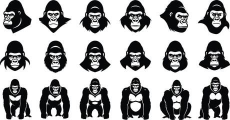 gorilla, faces, silhouettes, collection, primate, ape, vector, illustration, black, wildlife, animal, portrait, expressions, icons, set, jungle, mammal, design, graphic, bundle