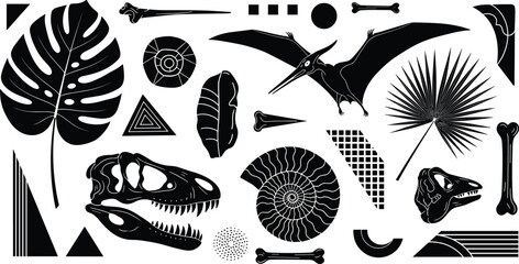 prehistoric, silhouettes, dinosaur, fossils, pterosaur, leaves, geometry, abstract, collage, ancient, nature, science, illustration, vector, black, white, artwork, design, set, collection © Jisan World