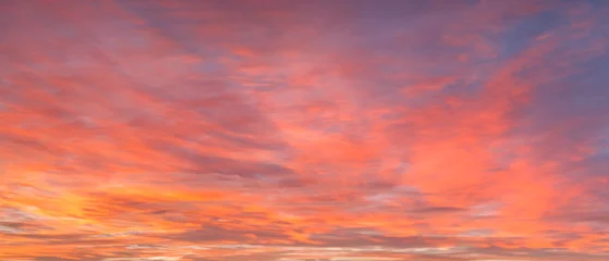 Fototapeten Coral A wide panorama of a beautiful pink and blue sunset sky with clouds. The sky in pink and blue tones creates an atmosphere of calm and tranquility.  © Aleksandr Matveev