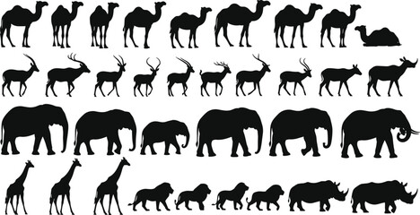 wildlife, animal, silhouettes, set, safari, mammals, vector, collection, black, isolated, africa, nature, fauna, illustration, design, graphic, zoo, savanna, animals, icons
