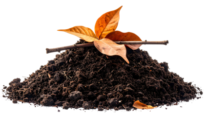 Small mound of rich soil with dry leaves and twigs, isolated on a black background