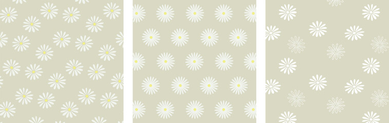 花びらが多いモダンなデイジーの花柄模様のパターンセット