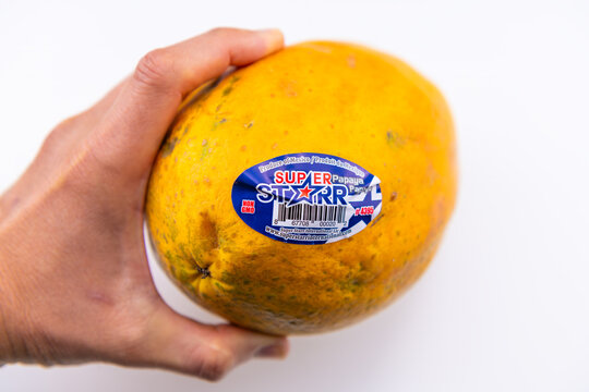 Naples, USA - May 4, 2022: Papaya maradol fruit, raw whole one piece food macro closeup by Super Starr international brand on white background
