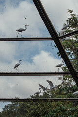 Mangal das Gar&ccedil;as, Bel&eacute;m do Par&aacute;