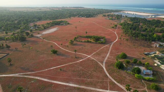 Aerial drone footage of multi path sandy roads in a middle of  a red grasses field, nearby a forest and blue water coastline, in Sabu island, Indonesia