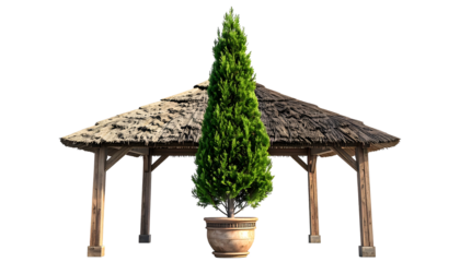 Rustic wooden gazebo with thatched roof, tall potted tree center stage against a black backdrop