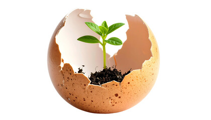 A sprouting plant bursts from a cracked eggshell, symbolizing new life and growth