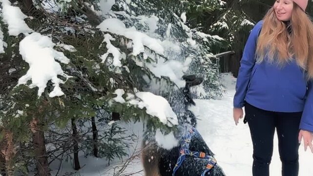 Girl with dog among trees covered with snow. Winter hike in mountains. Adventures in mountains.