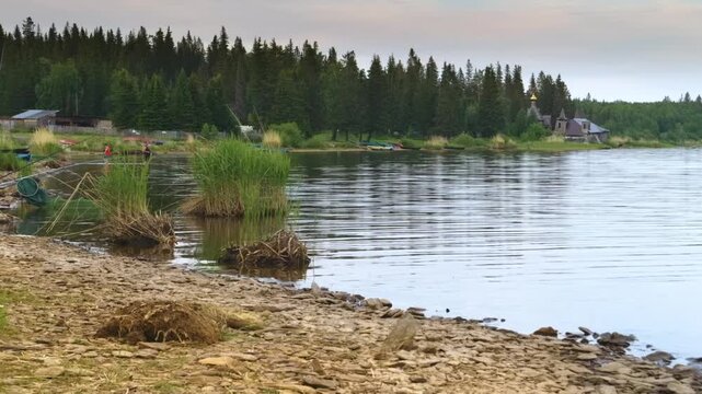 A serene natural landscape featuring a sandy shore, tall green reeds, and calm water reflecting a dense forest of evergreen trees under an overcast sky. A small cabin or building is visible in the dis