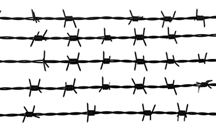 Several rows of sharp black wire fencing stretch across a dark background