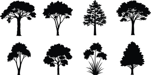 Black silhouettes of various trees on white background © Obaidul Vector Zoon