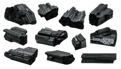 Assorted dark charcoal pieces, roughly hewn, against a transparent background