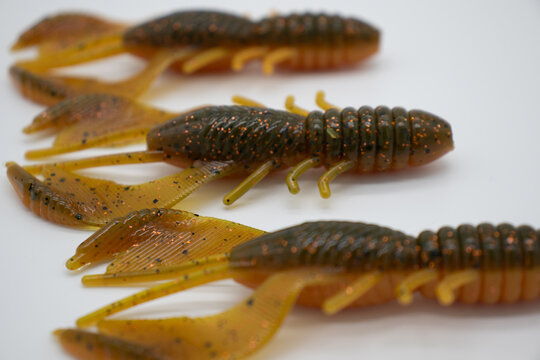 Soft plastic fishing baits, primarily used for largemouth bass fishing. 
