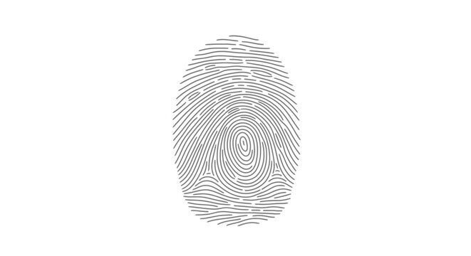 Detailed fingerprint pattern isolated on a white background for security and identification concepts.