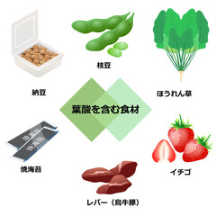 葉酸を含む食材