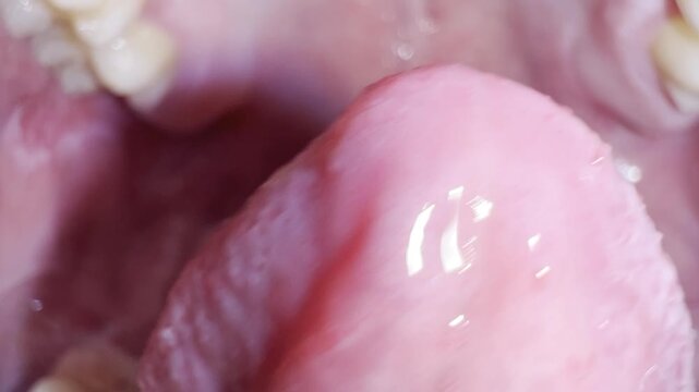 Human tongue moving inside the mouth close-up