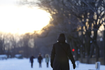 Une femme se promène dans un parc en hiver. Magnifique paysage hivernal.