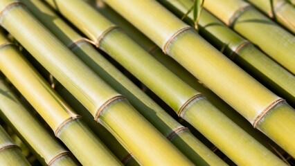 Close-up of green bamboo stalks arranged in parallel rows