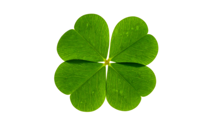 Vibrant four-leaf clover against a stark black background, showcasing intricate detail