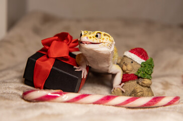 cute leopard gecko celebrating christmas next to small gift and teddy bear