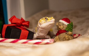 unusual new year greeting featuring cute spotted gecko and winter ornaments