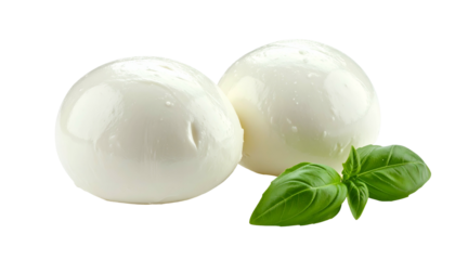 Two plump, smooth, white cheese balls with a sprig of fresh green basil against black