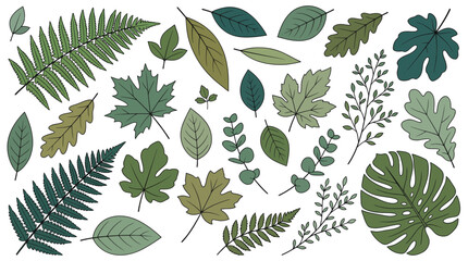 Assorted botanical leaves pattern with green and brown foliage on white background, diverse leaf shapes and tropical plants illustration