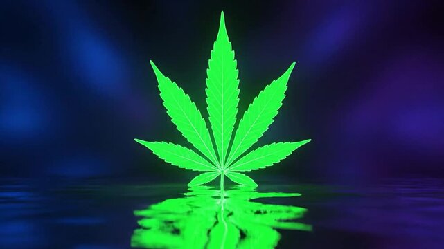 Neon green cannabis leaf reflects in water against a dark blue, purple, and green background