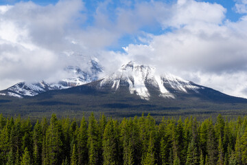 Fototapeta premium Morning light on Morant's Curve where mountains embrace the tracks, Banff National Park, Albert