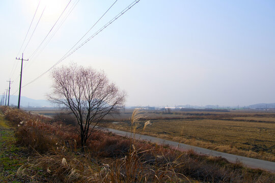 A country road heading somewhere