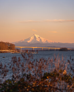 Mt Hood, Oregon, golden hour sunset view over Columbia River from Vancouver, Washington