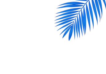 An intensely vibrant electric blue palm leaf with detailed fronds and crisp edges, diagonally placed on a soft pastel pink background with copy space, concept for contemporary design